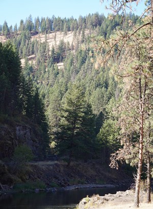 Wallowa River