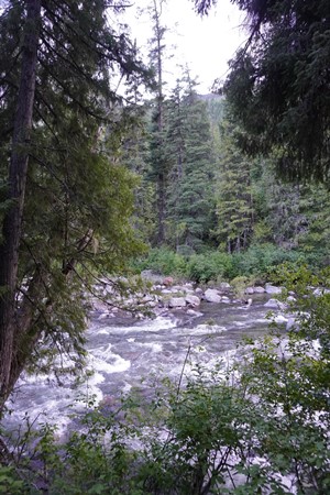 Icicle Creek