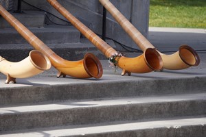 Alphorn