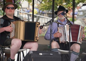 Steirische Harmonikas